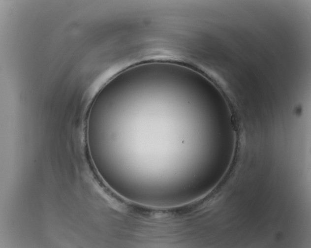 X0000112901375200908281714