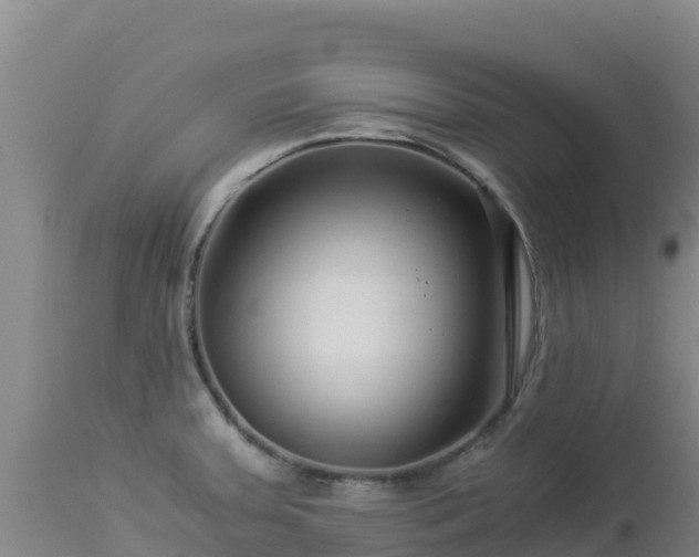 X0000112901379200908281714