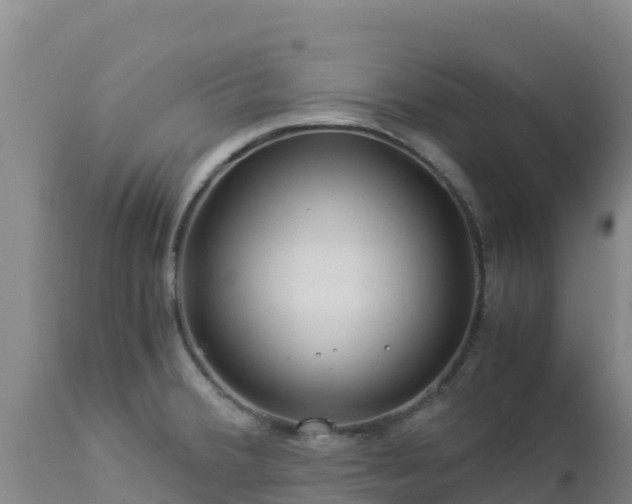 X0000112901380200908281714