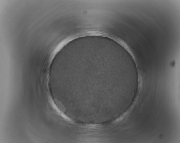 X0000112901381200908281714