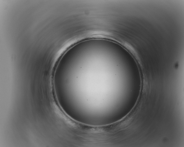 X0000112901384200908281714