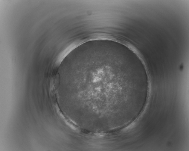 X0000112901385200908281714