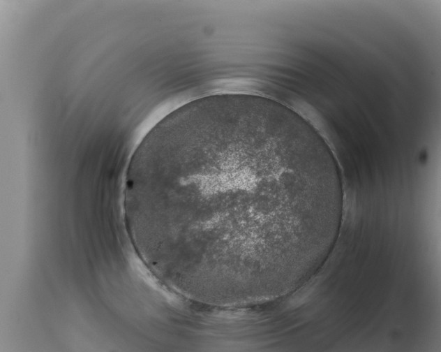 X0000112901386200908281714