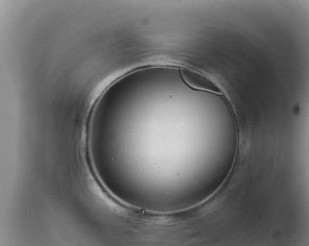 X0000112901387200908281714