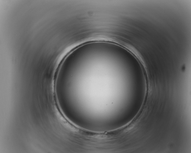 X0000112901388200908281714