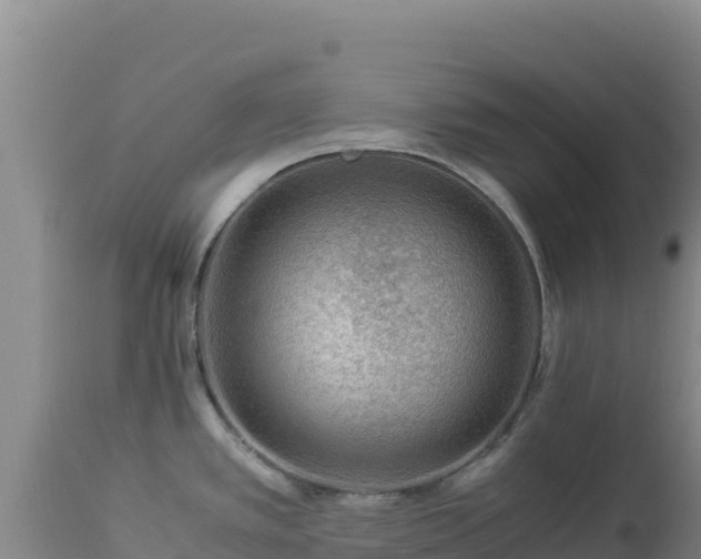 X0000112901389200908281714