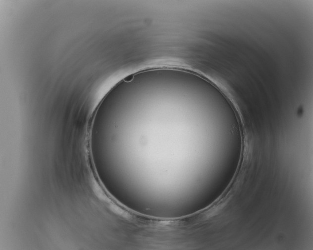 X0000112901390200908281714