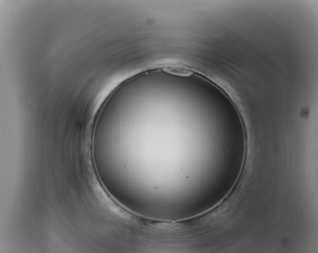 X0000112901392200908281714