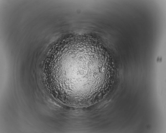 X0000112901393200908281713