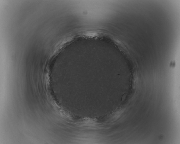 X0000112901394200908281713