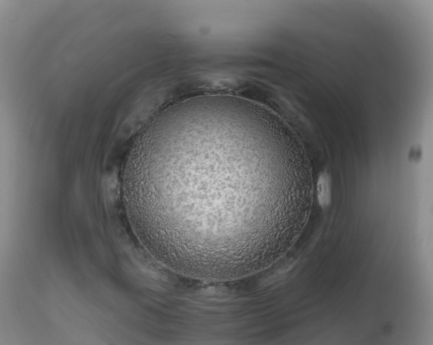 X0000112901395200908281713