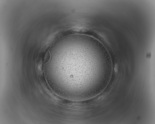 X0000112901396200908281713