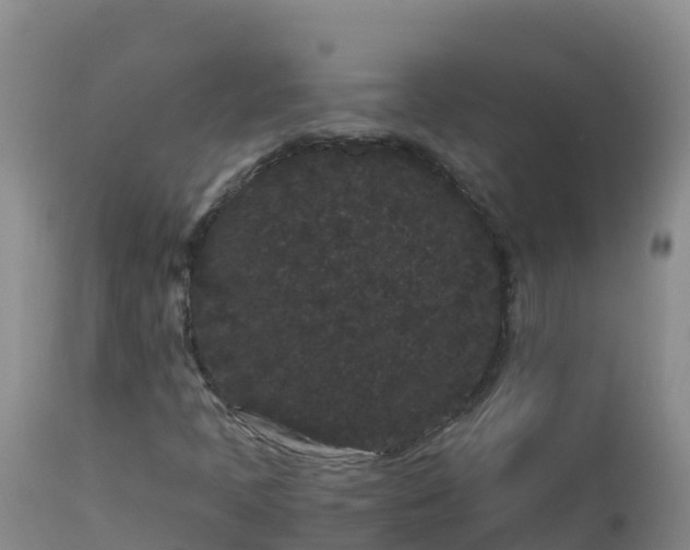 X0000112901397200908281713