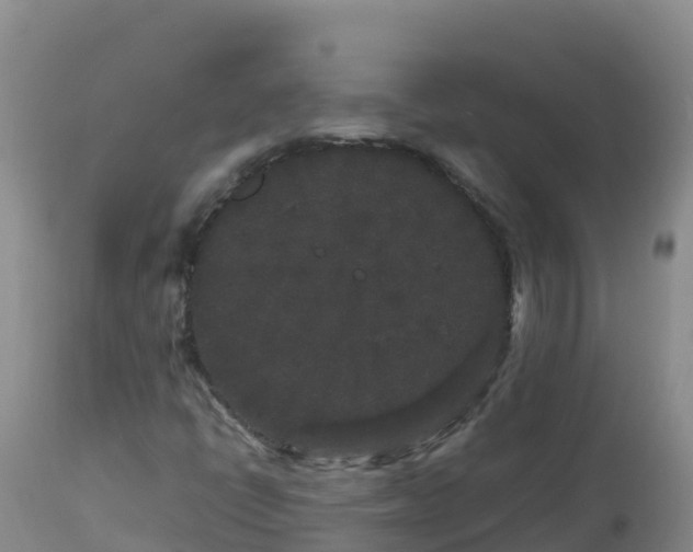 X0000112901398200908281713