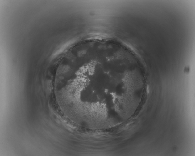 X0000112901399200908281713