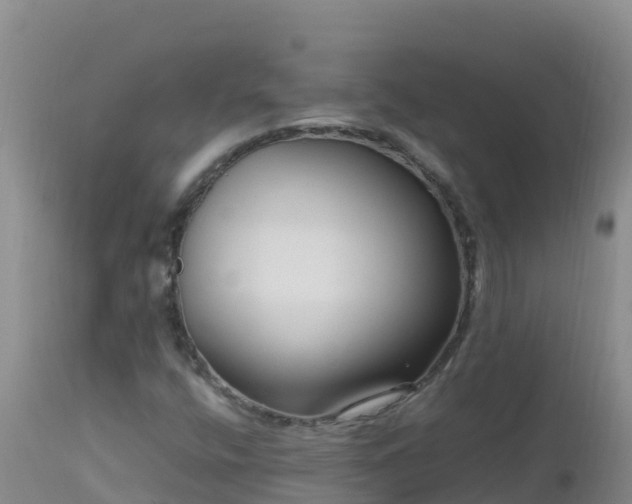 X0000112901400200908281713