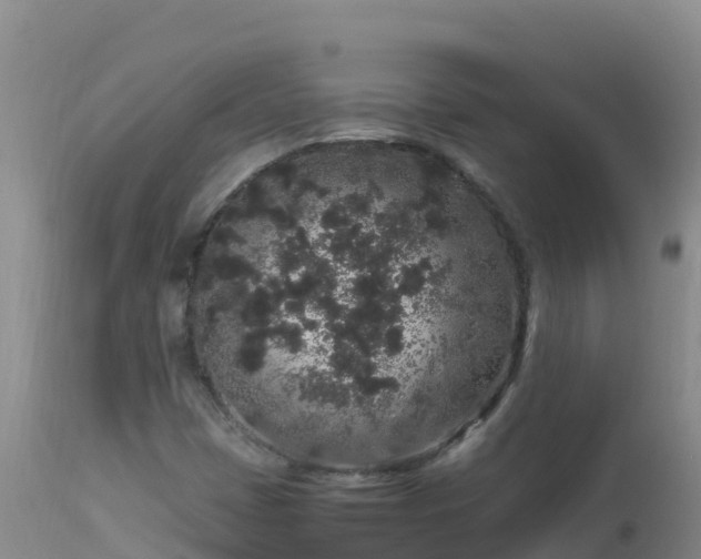 X0000112901401200908281713