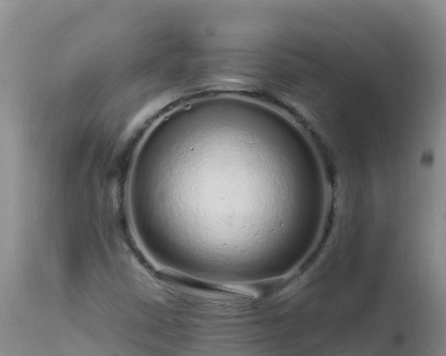 X0000112901402200908281713