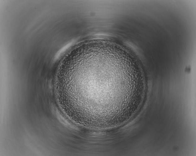 X0000112901403200908281713