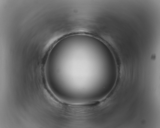 X0000112901404200908281713