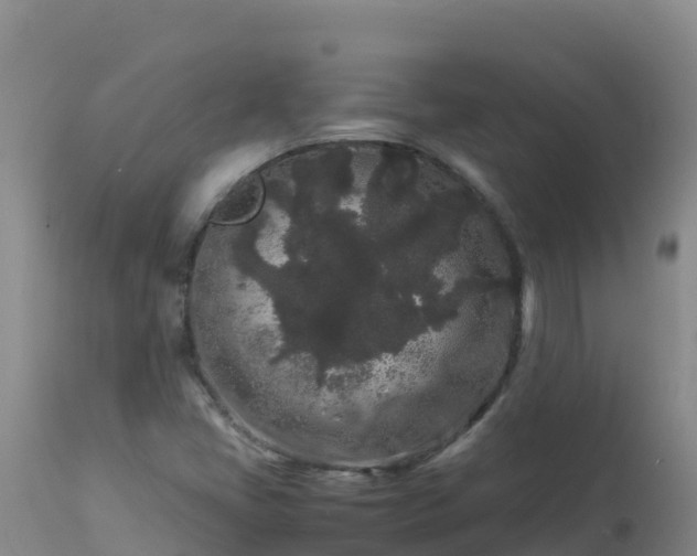 X0000112901405200908281713