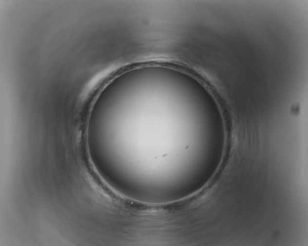 X0000112901406200908281713