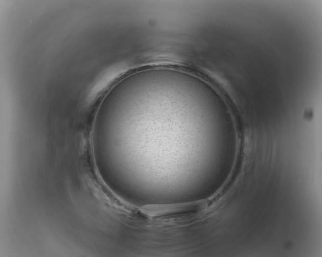 X0000112901407200908281713