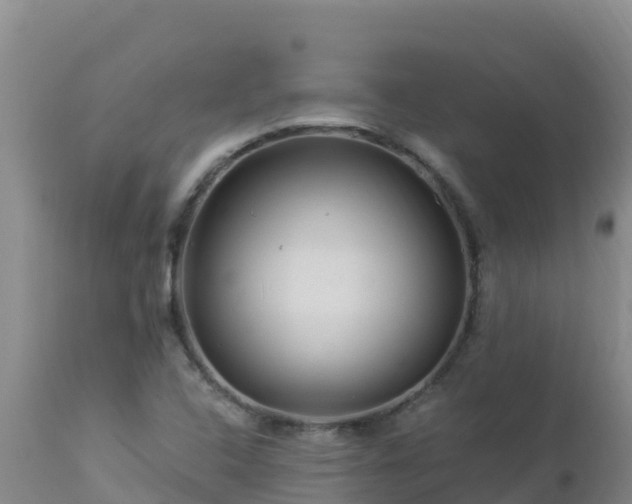 X0000112901408200908281713