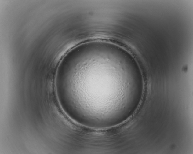 X0000112901409200908281714