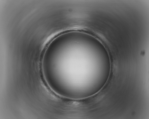 X0000112901412200908281714