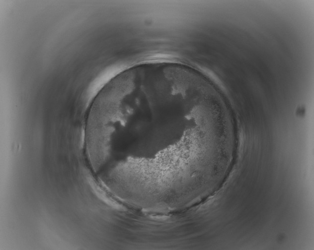 X0000112901413200908281714