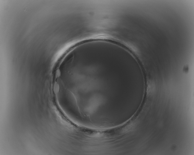 X0000112901414200908281714