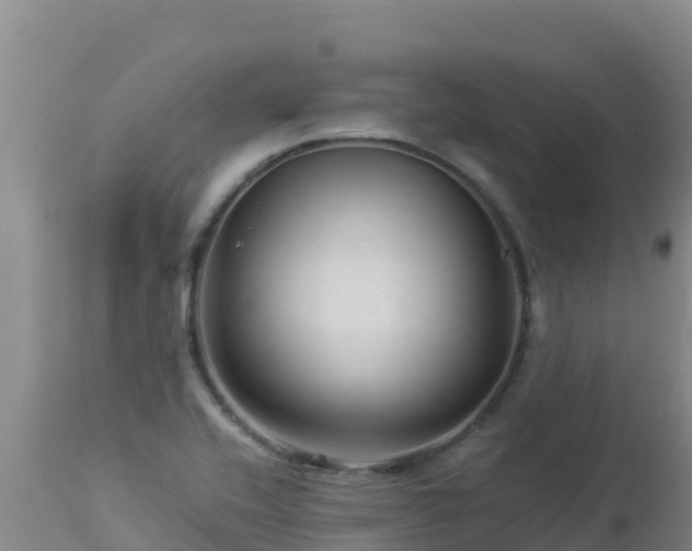 X0000112901416200908281714