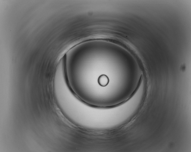 X0000112901417200908281714