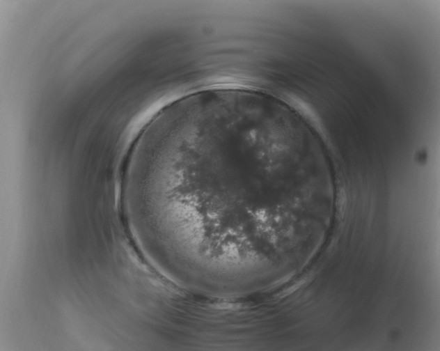 X0000112901419200908281714