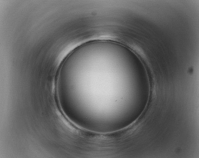 X0000112901420200908281714