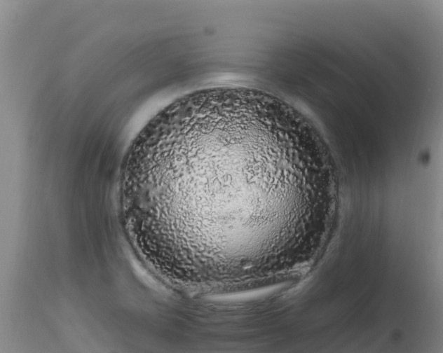 X0000112901421200908281714