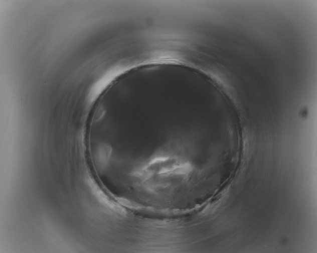 X0000112901422200908281714