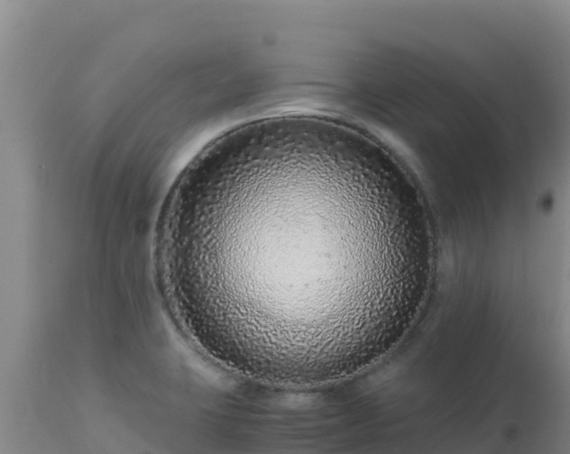 X0000112901423200908281714