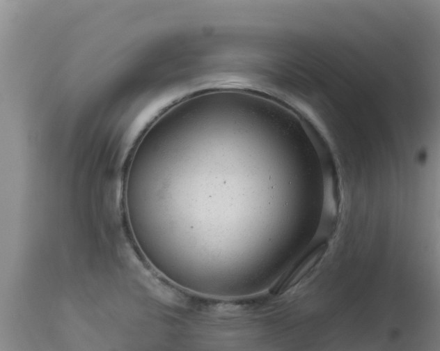 X0000112901424200908281714