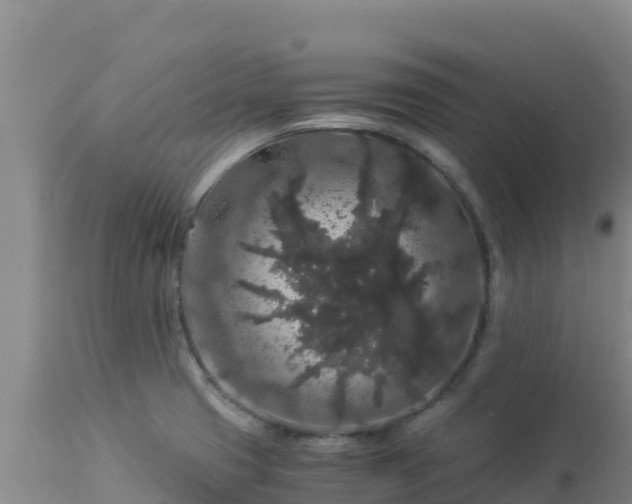 X0000112901425200908281714