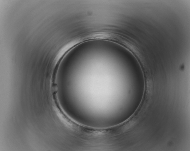 X0000112901426200908281714