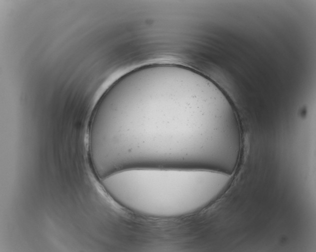 X0000112901428200908281714