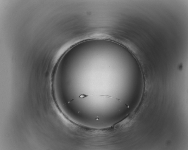 X0000112901430200908281714