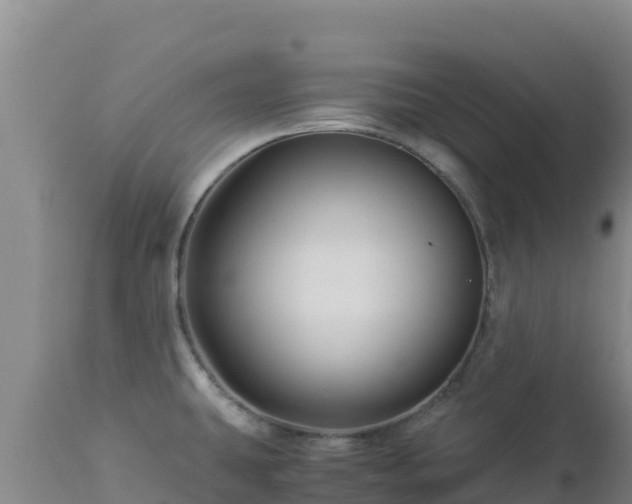 X0000112901431200908281714