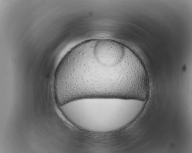 X0000112901432200908281714