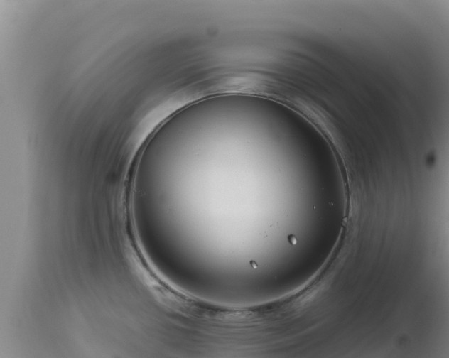 X0000112901434200908281714