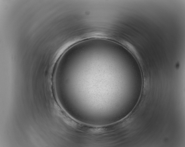 X0000112901435200908281714