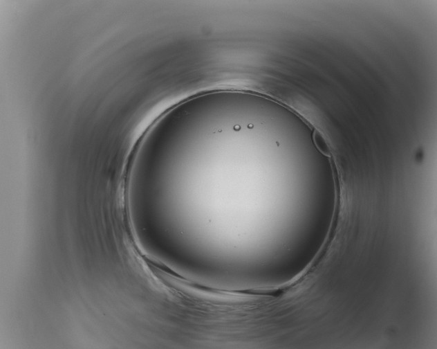 X0000112901436200908281714