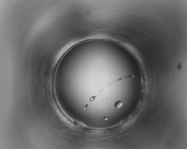 X0000112901438200908281714